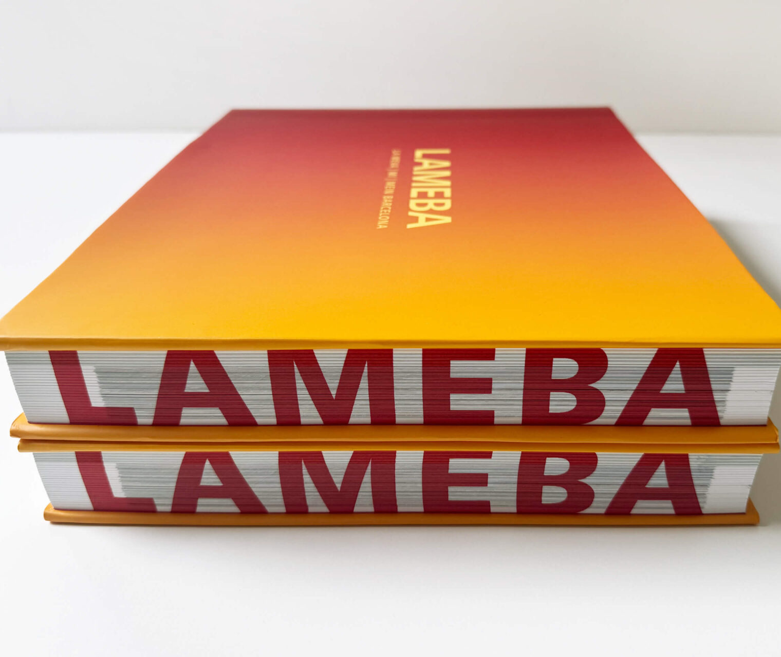 LAMEBA Buchgestaltung mit Farbschnitt