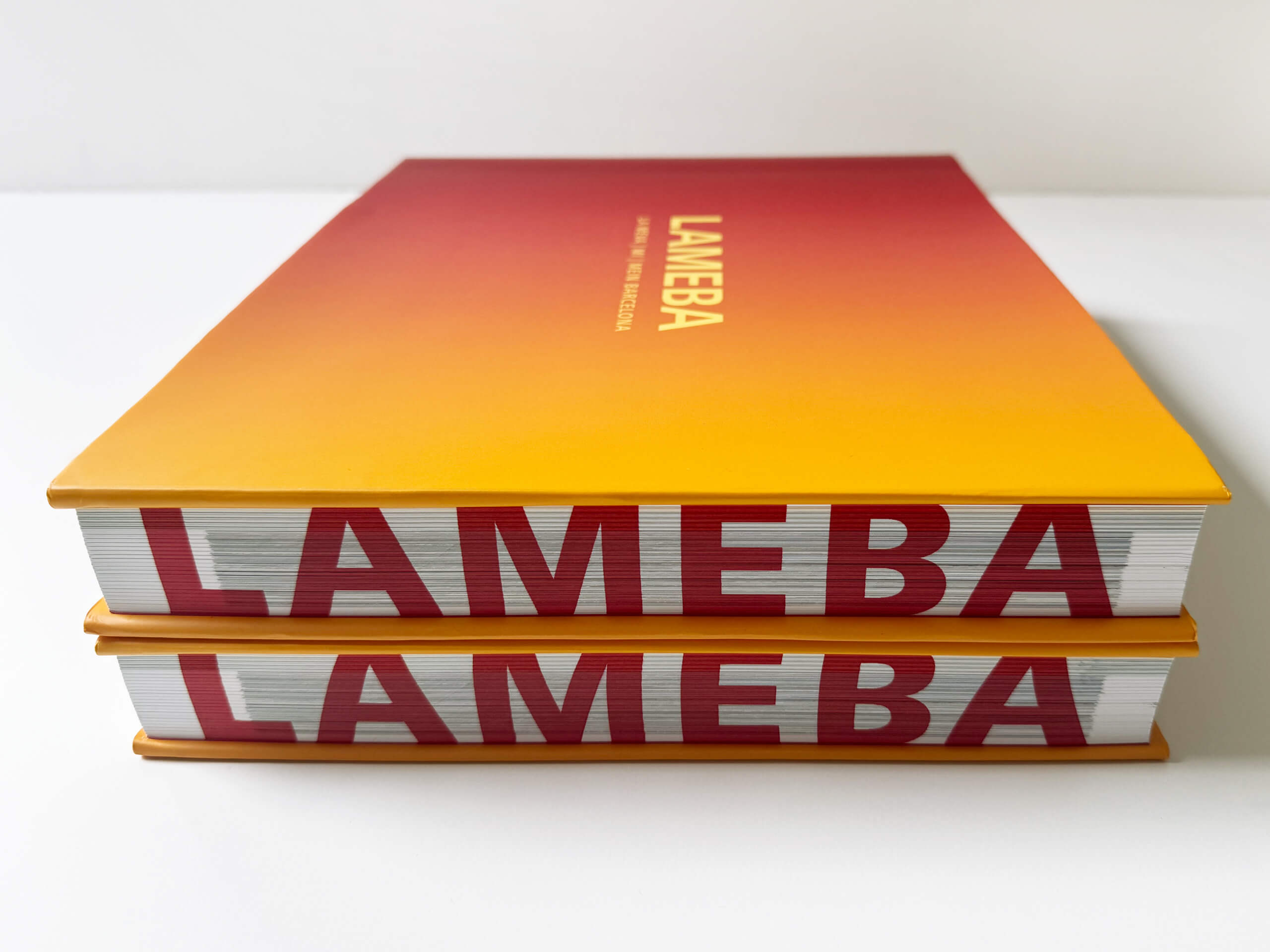 LAMEBA Buchgestaltung mit Farbschnitt