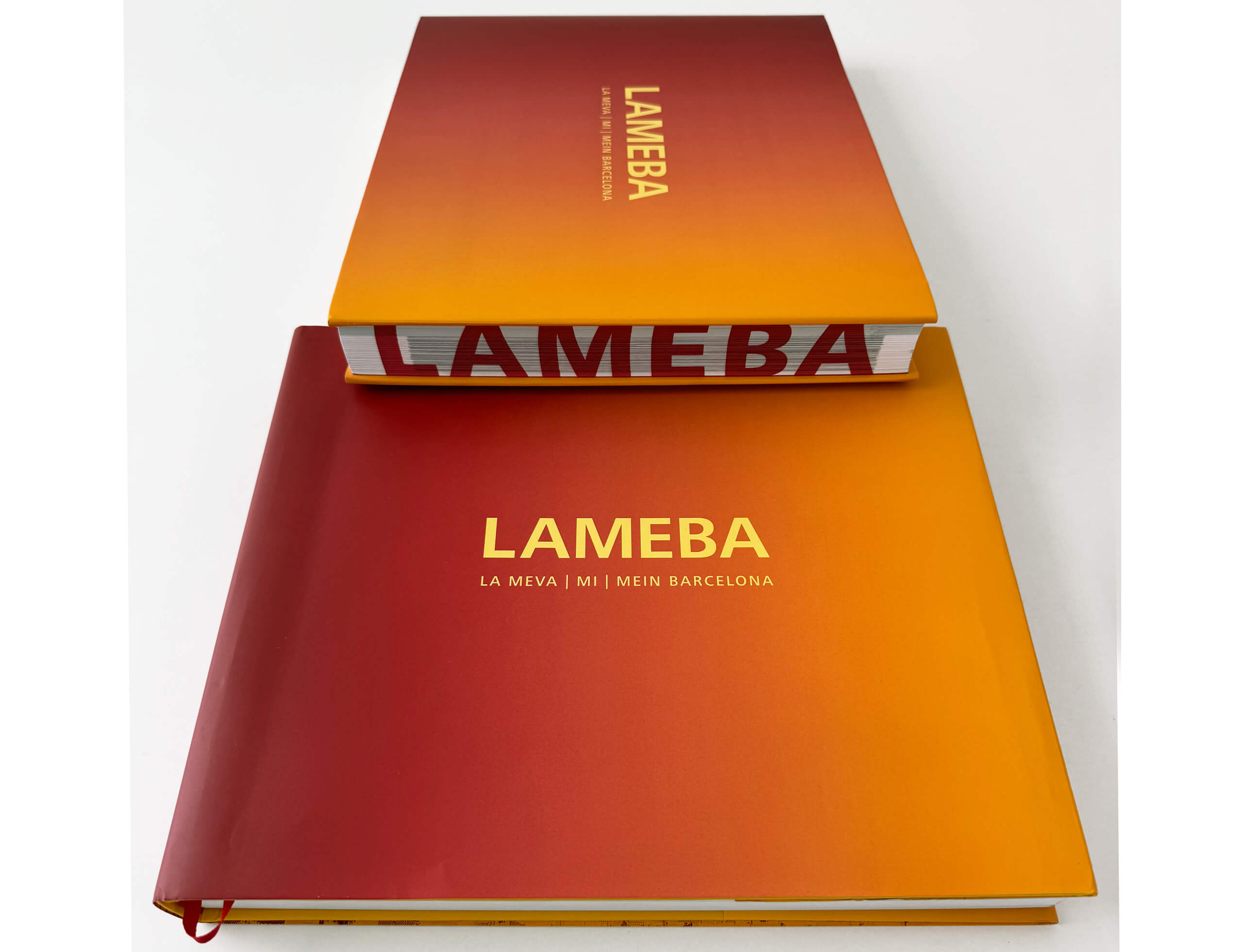 Lameba Coveransicht